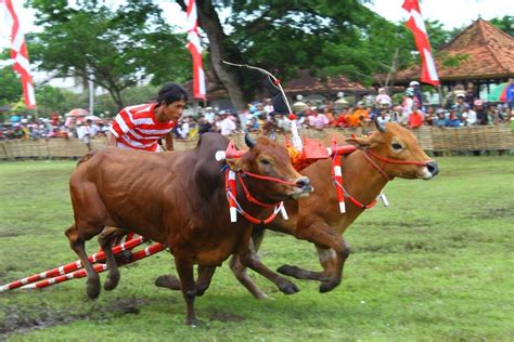 olahraga tradisional di indonesia